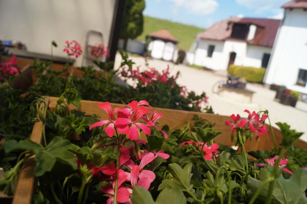 Zahrada ubytování Hotel a Hostinec Tálský mlýn