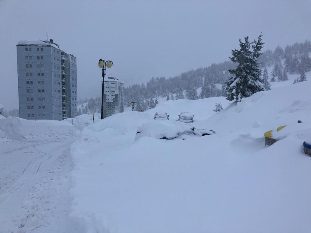 Fotografia z galérie ubytovania APPARTAMENTO 63 v destinácii Passo del Tonale
