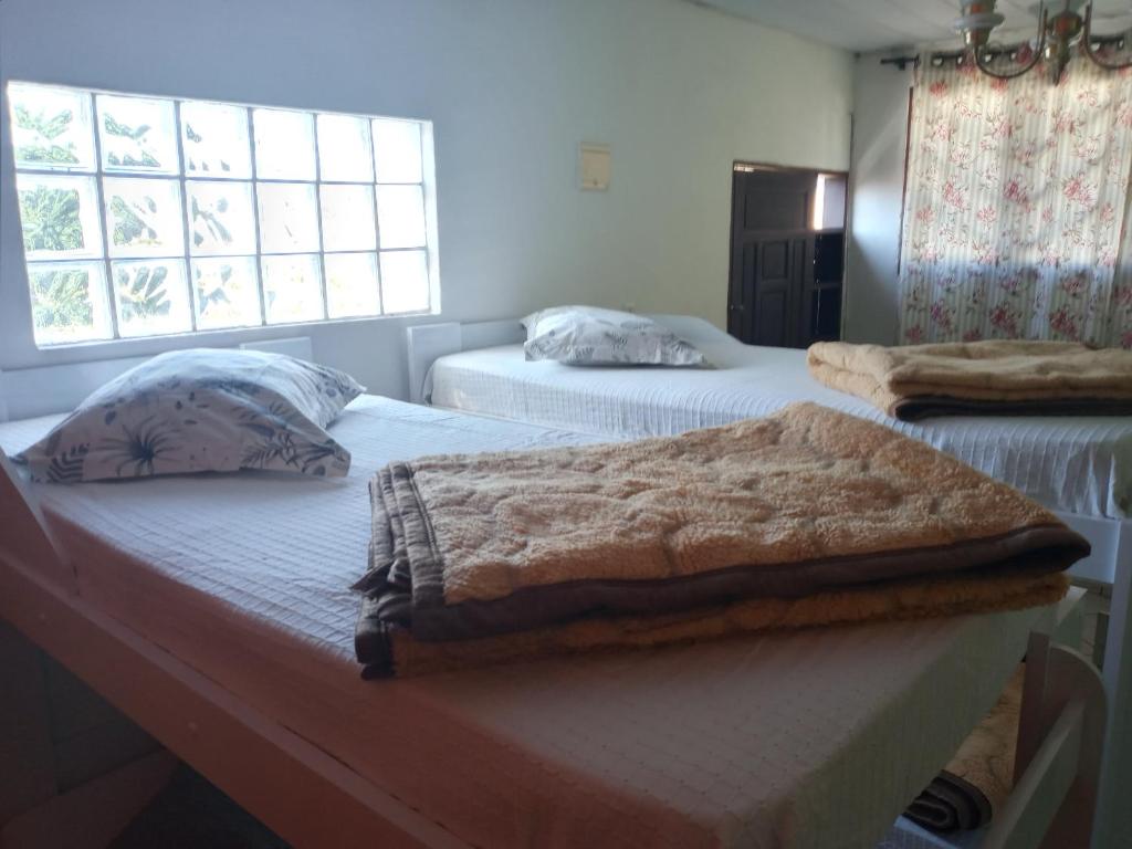  Green Hostel Ingleses