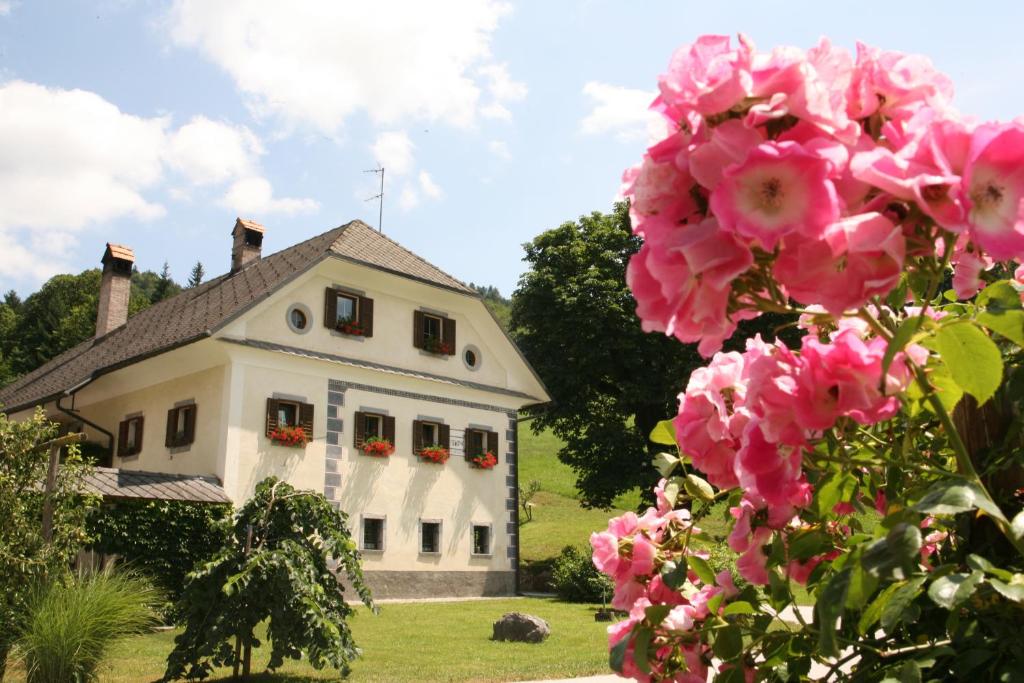 Zahrada ubytování Apartments Cvetje v Jeseni