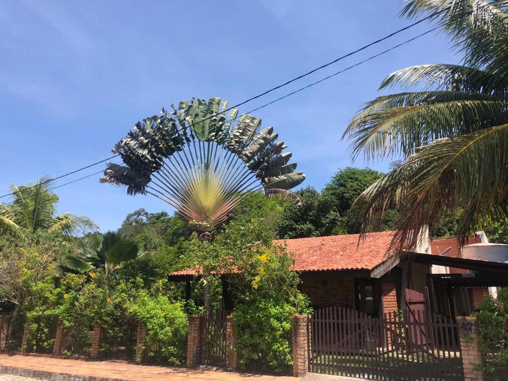  Pipa Casa das Redes