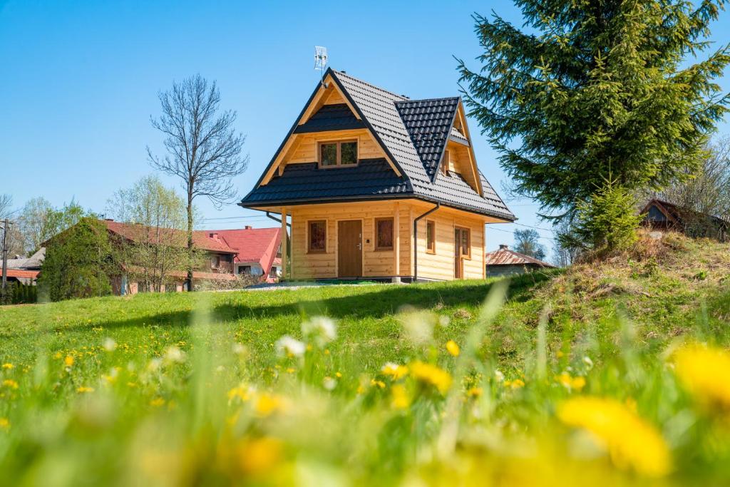 a house with a blue roof on top of a field at Góralski domek nad Białką in Jurgów