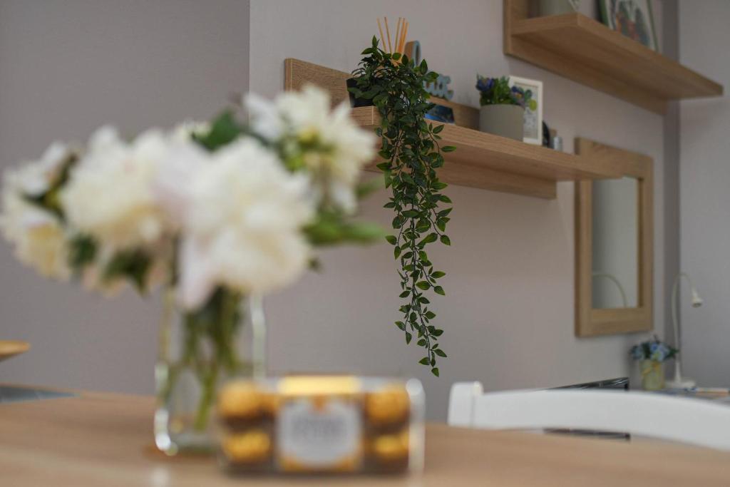 Fotografie z fotogalerie ubytování Apartment Plaža v destinaci Kladovo