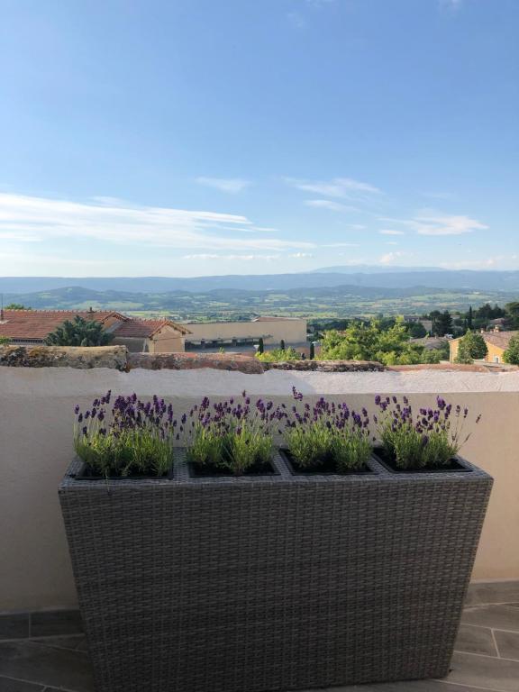 um plantador cheio de flores roxas numa saliência em Provence Luberon Bonnieux location gite chez Marcelle em Bonnieux