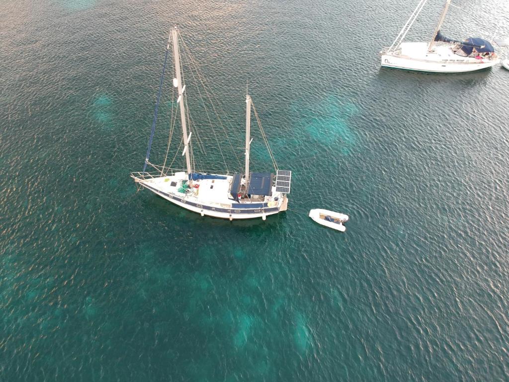 an aerial view of two boats in the water at ATAO Plongee in Les Anses-dʼArlets