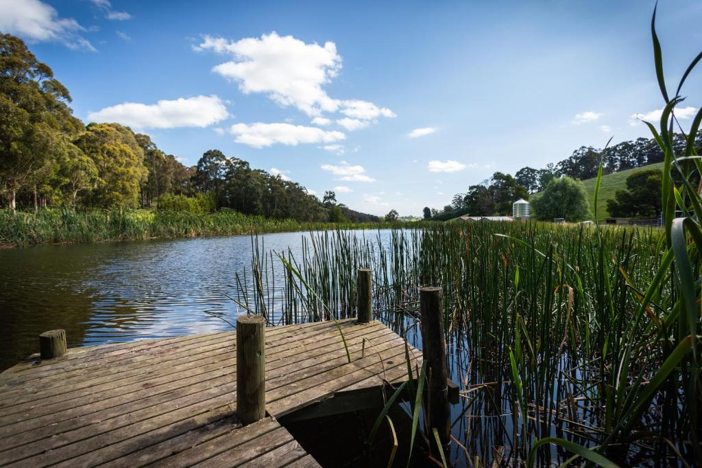 Neerim South – Photos 1