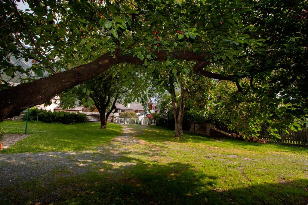 Zahrada ubytování Apartmenthaus Juen