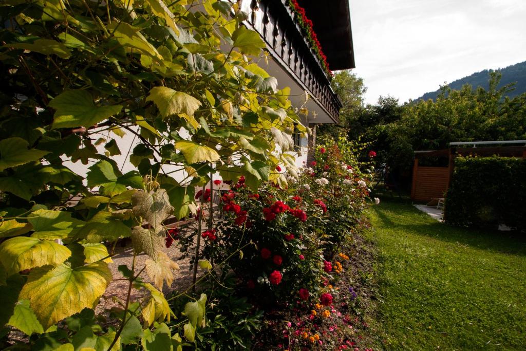 Zahrada ubytování Apartmenthaus Juen