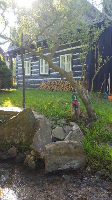 Ogród w obiekcie Roubenka u potoka Výprachtice