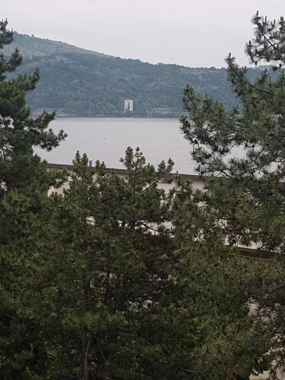 vistas a una gran masa de agua con árboles en Casa Emi, en Orşova