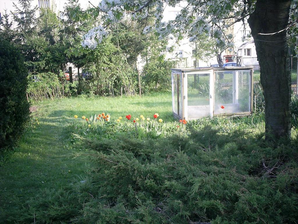 Ferienhaus Krähmer - Appartamento Con 2 Camere Da Letto (5 Adulti)