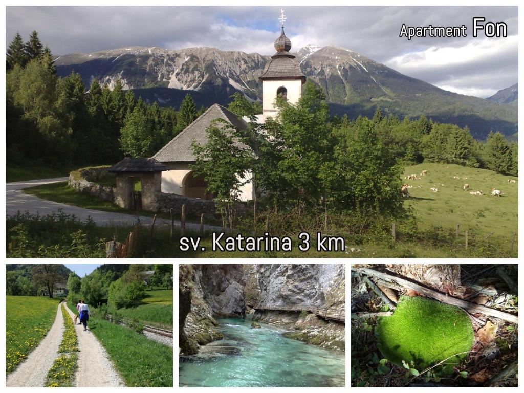 Příroda nedaleko apartmánu