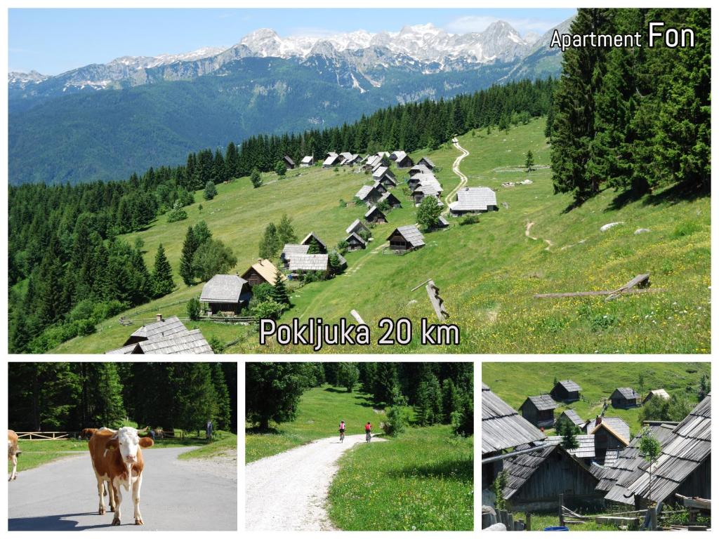 Příroda nedaleko apartmánu