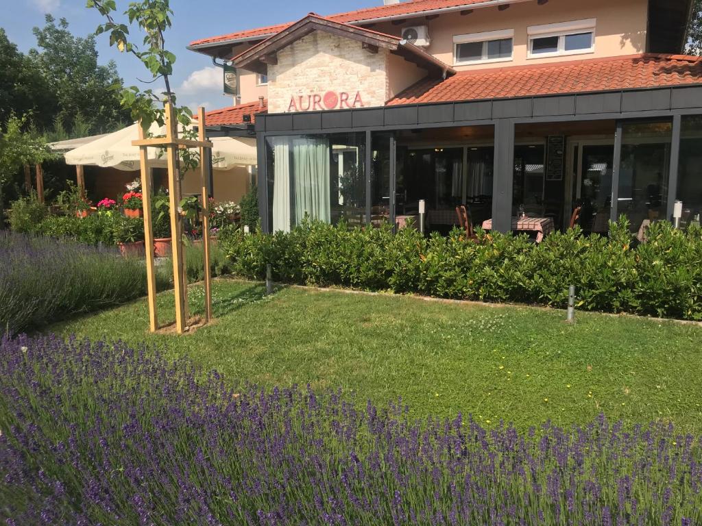 ogród z fioletowymi kwiatami przed budynkiem w obiekcie Aurora Panzió w mieście Bük