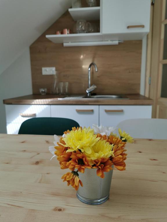 Kuchyň nebo kuchyňský kout v ubytování Apartmány Slunce