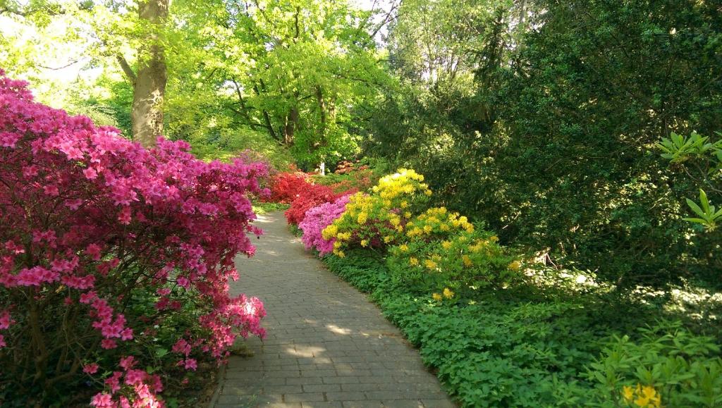 Congress Hotel am Stadtpark - Resim 12