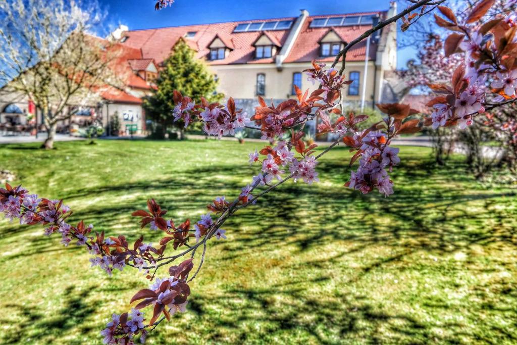Zahrada ubytování Hotel und Restaurant Rittergut Kreipitzsch