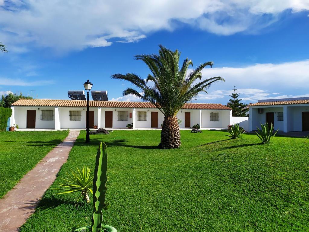 una casa con una palmera en el patio en El Levante en Tarifa