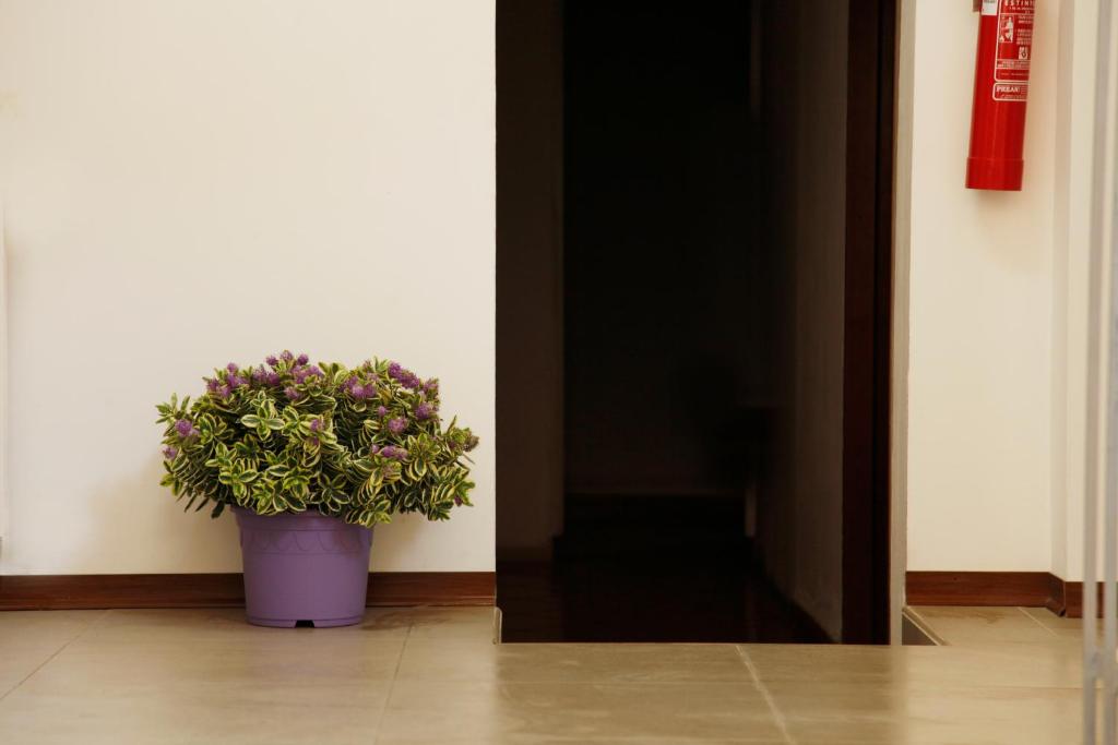 HOTEL Poma - Resim 21