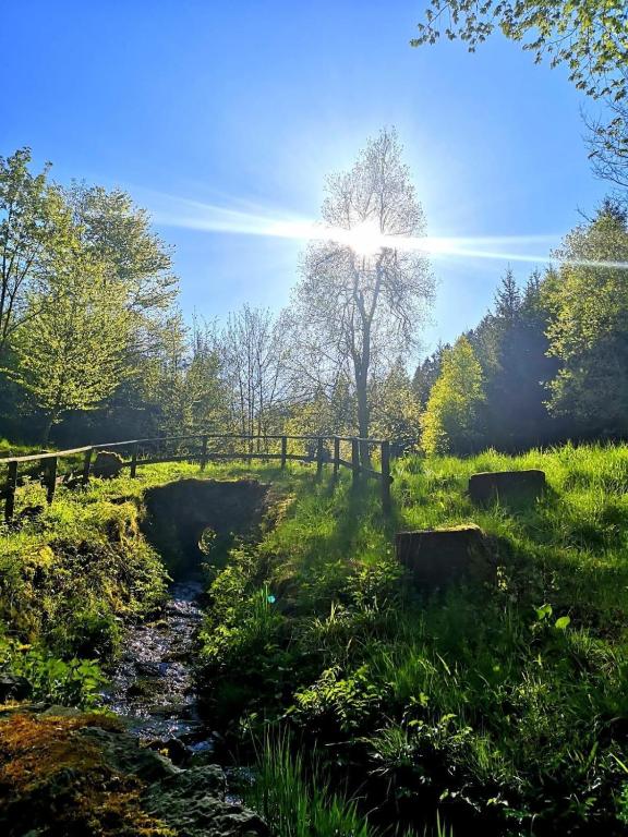 ein Bach in einem Feld mit Zaun und Bäumen in der Unterkunft Haus Astenblick in Winterberg für bis zu 35 Personen für Wanderveranstaltungen und Familienfeiern in Winterberg
