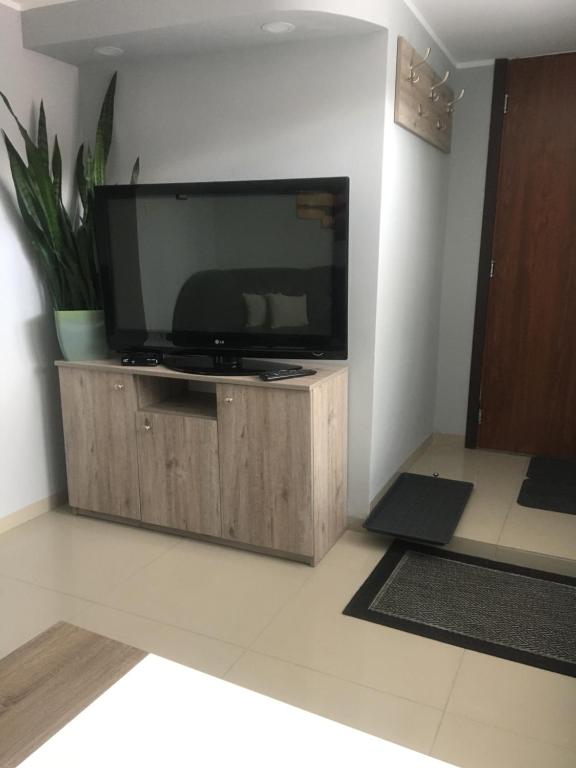 TV a/nebo společenská místnost v ubytování Kaszubskie Apartamenty nad jeziorem