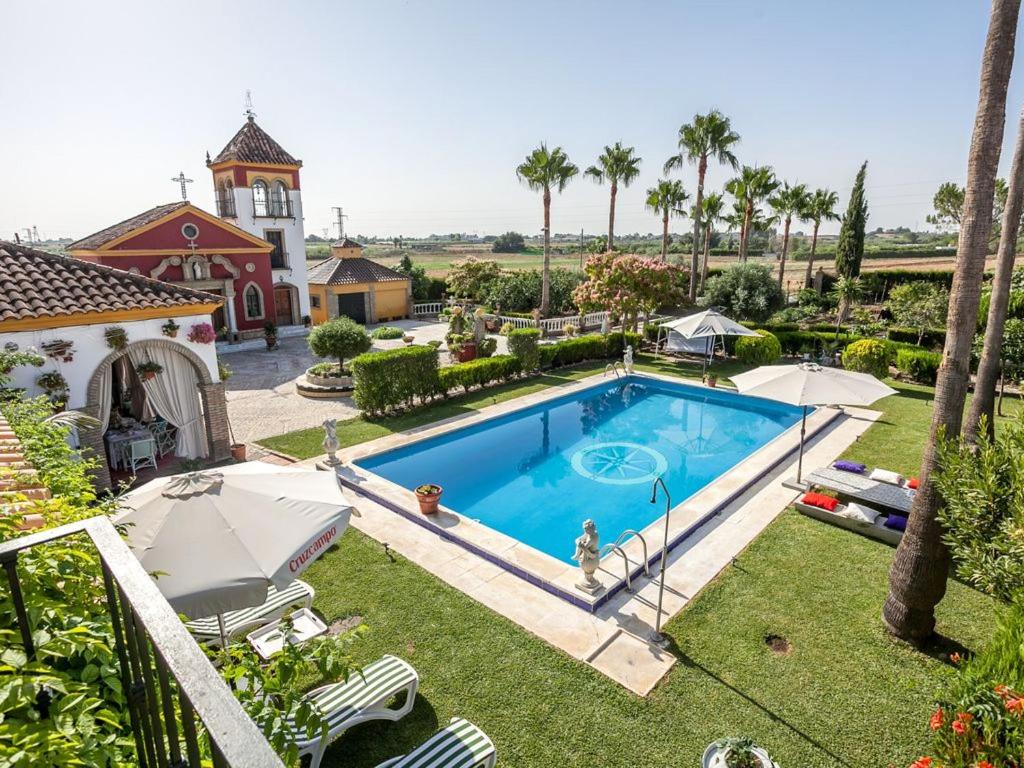 an overhead view of a swimming pool in a yard at 4 bedrooms villa with private pool enclosed garden and wifi at Los Palacios y Villafranca in Los Palacios y Villafranca