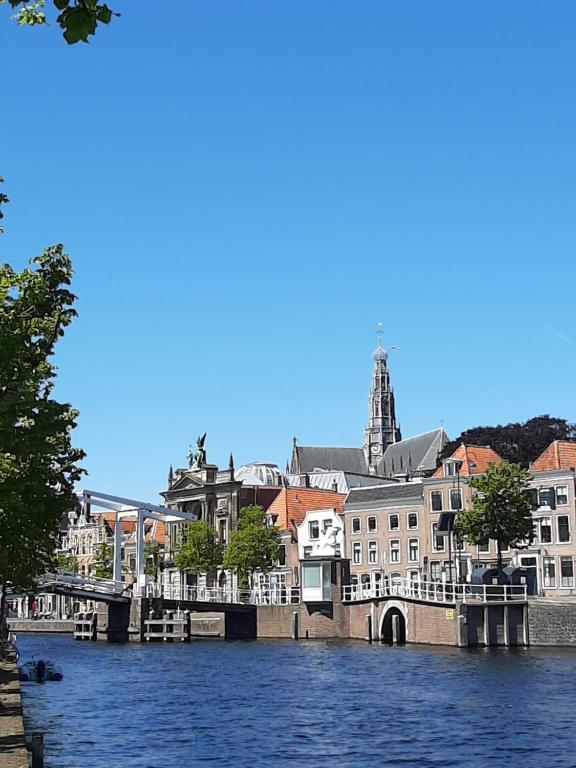 Passage - spacious apartement in quiet historic part of Haarlem - One-Bedroom Apartment