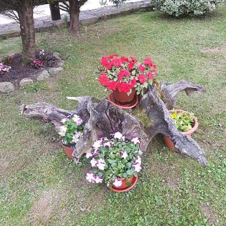 A garden outside Casa Rural Juntana