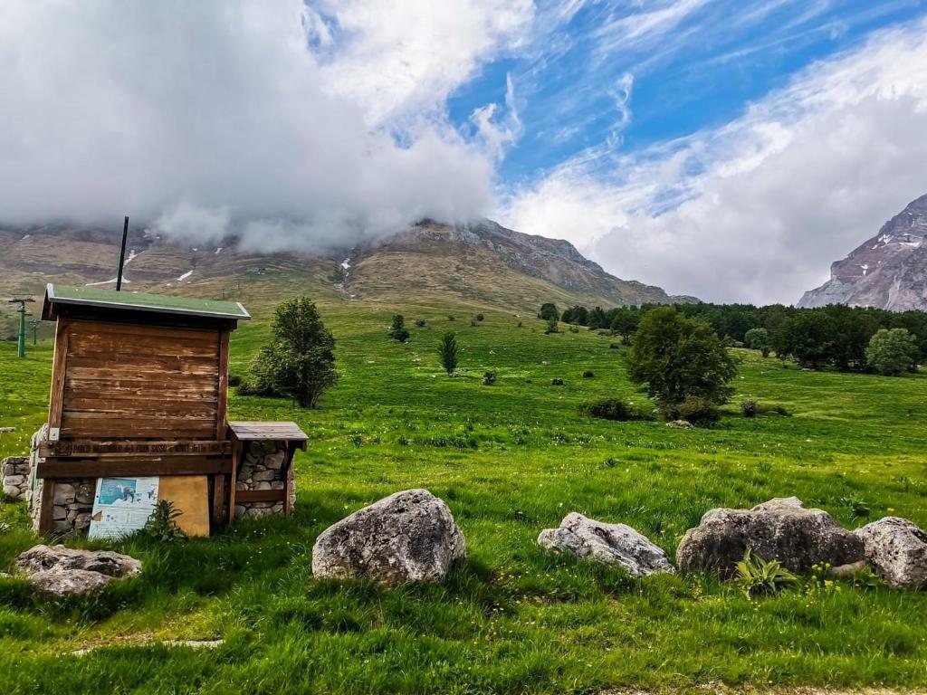 Peisaj natural din apropierea acestei case de vacanță