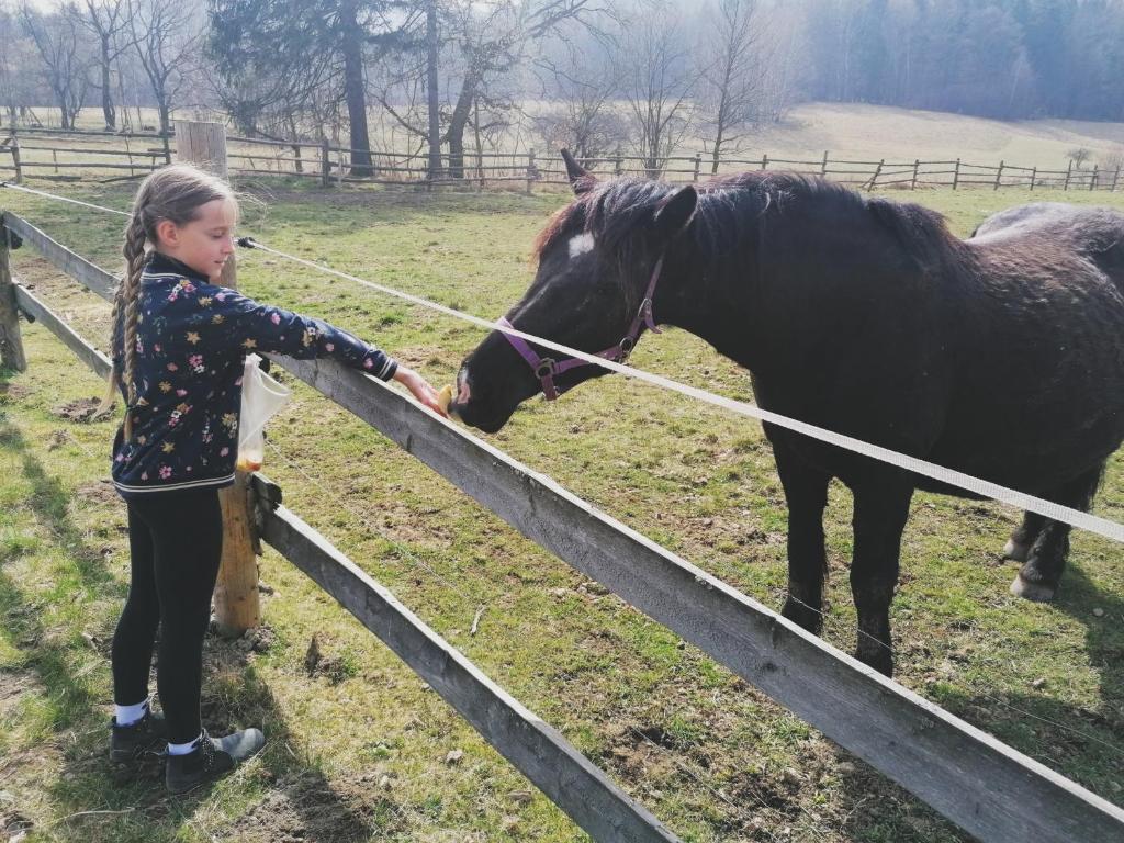 Zvieratá na farme alebo blízkom okolí
