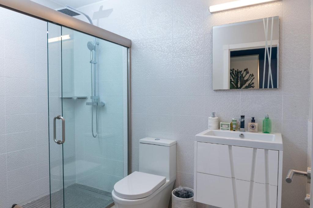 La salle de bains est pourvue d'une douche, de toilettes et d'un lavabo. dans l'établissement Rose Quartz Condo Suite Grenada, à Egmont