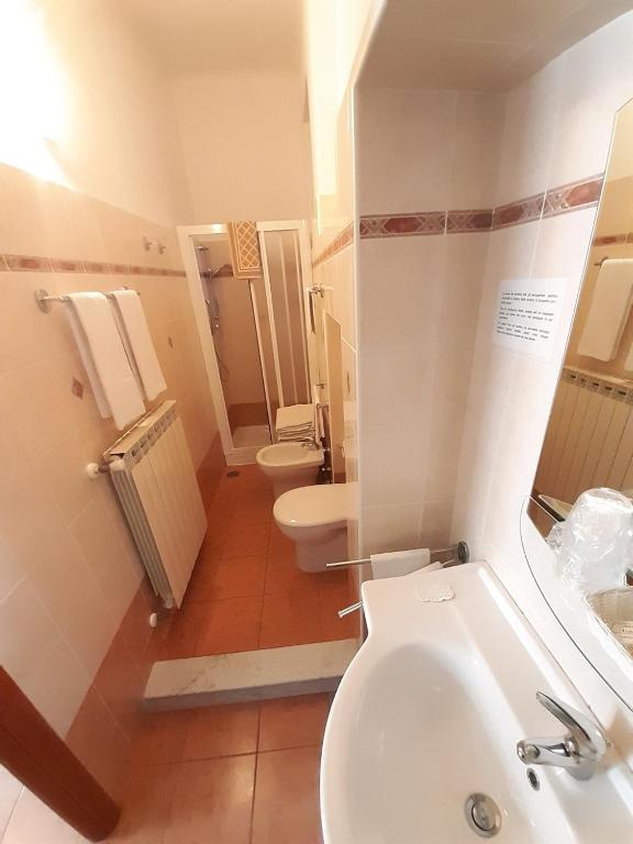 Koupelna v ubytování Hotel Alba Torino centro