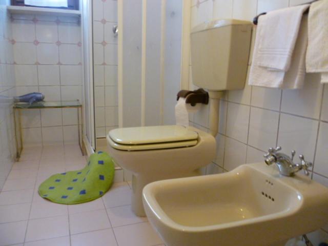 Koupelna v ubytování La Briccola