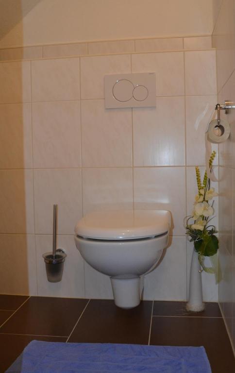 un bagno con servizi igienici bianchi e tappeto blu di Haus Trausner a Hallstatt