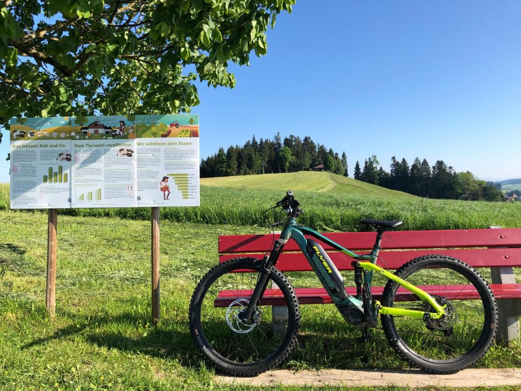 Jízda na kole v ubytování Bühl 3 nebo okolí