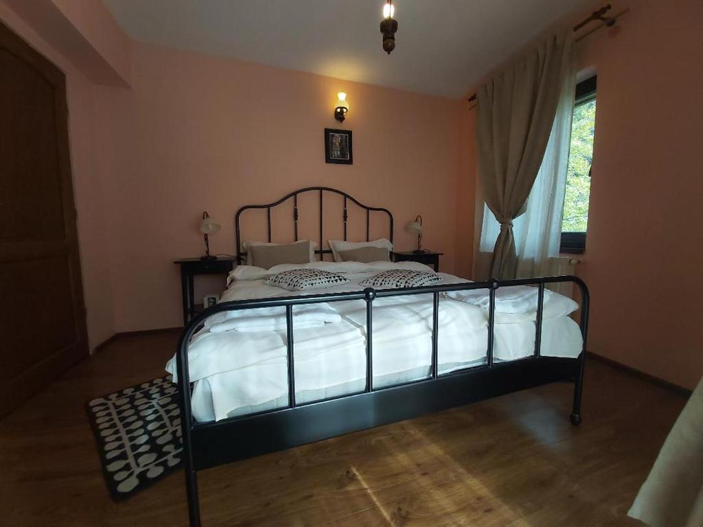 Postel nebo postele na pokoji v ubytování Vila Piscul Ursului