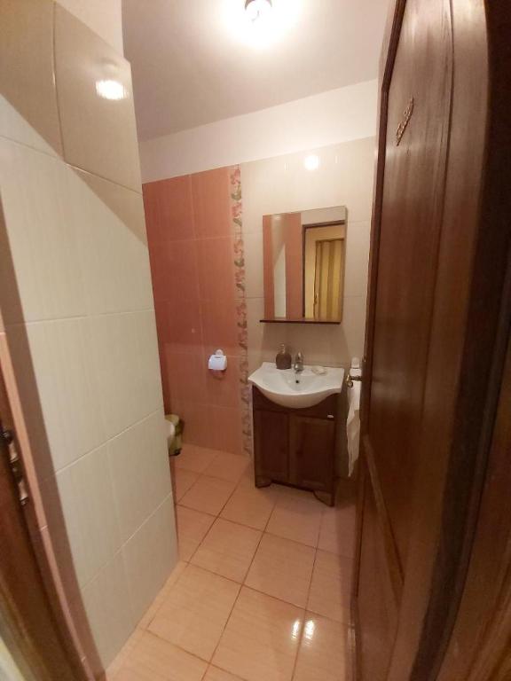 Koupelna v ubytování Vila Piscul Ursului