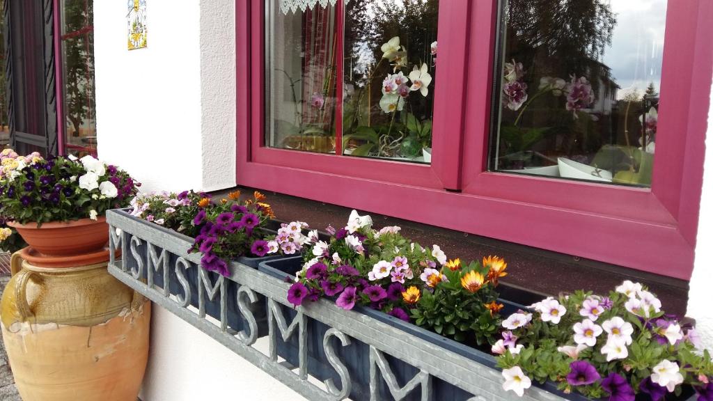 Zahrada ubytování B & B Gästehaus Schmidt