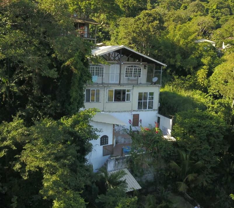  Floresta Tropical