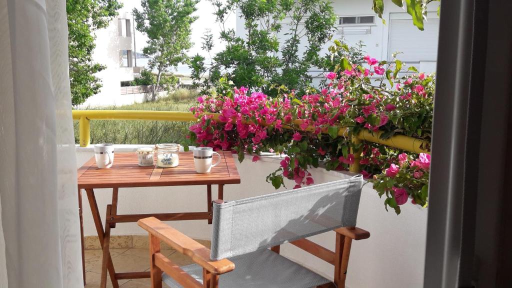 Zahrada ubytování CN Studio-Apartment