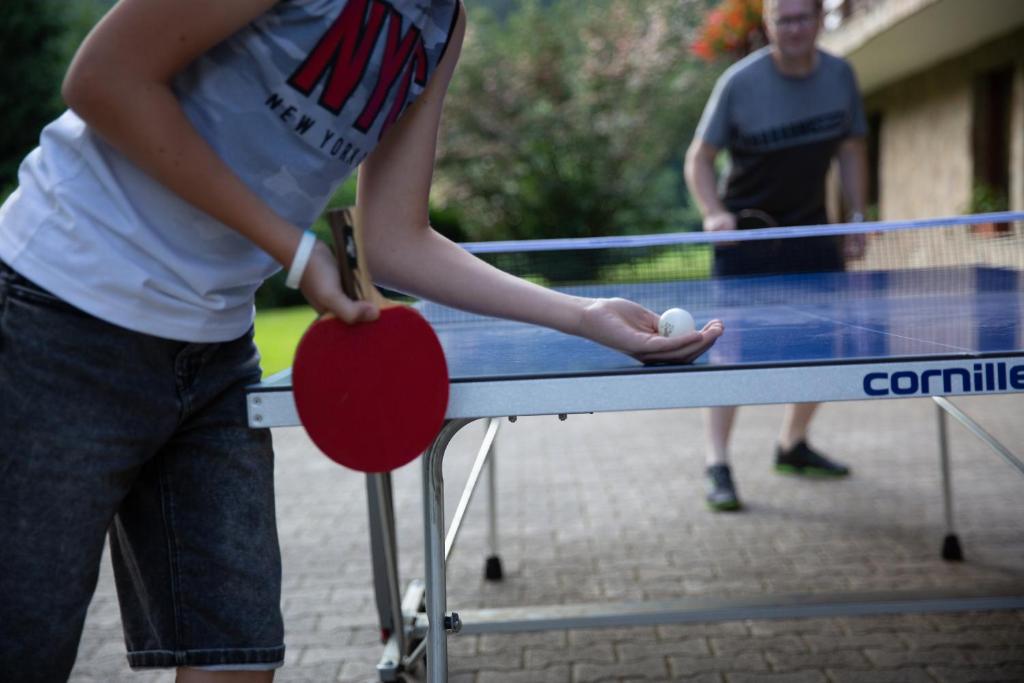 Stolní tenis v ubytování Turistična Kmetija Zgornji Zavratnik nebo okolí