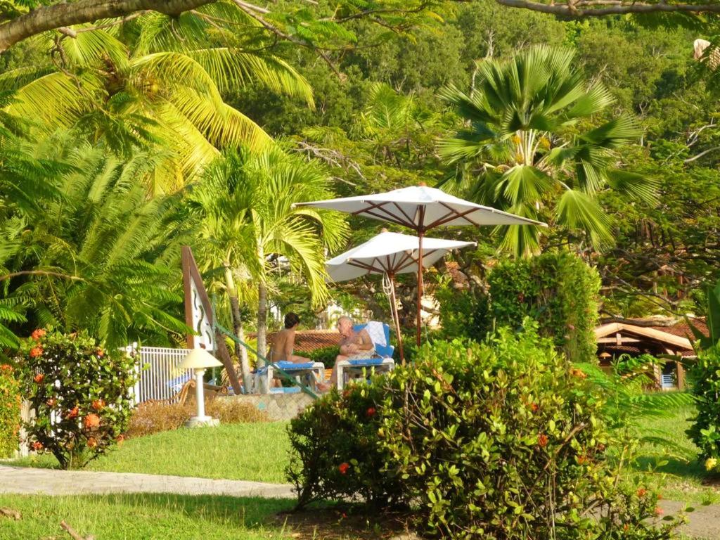 Zahrada ubytování Appartement d'une chambre a Sainte Anne a 500 m de la plage avec piscine privee jardin clos et wifi