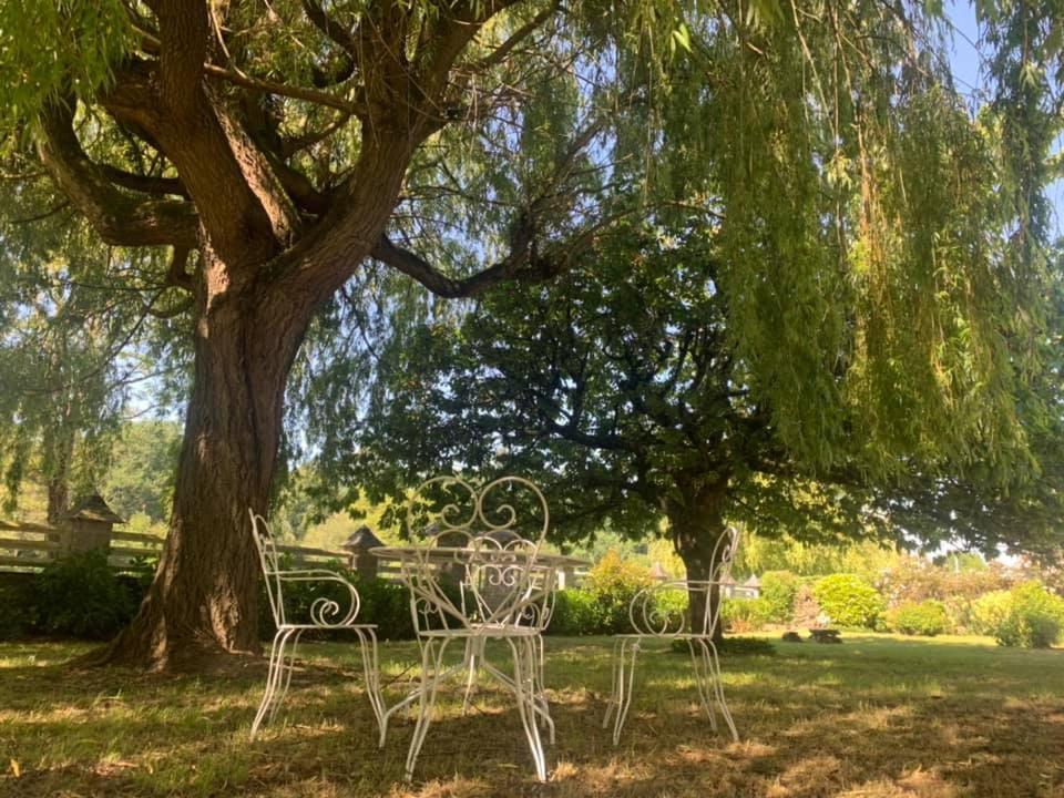 un banco sentado bajo un árbol en un parque en River Cottage 2 nuits minimums par réservation, en Daon