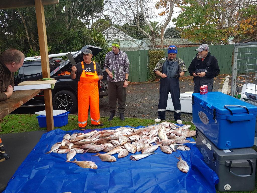 Coromandel Cottages - Resim 12