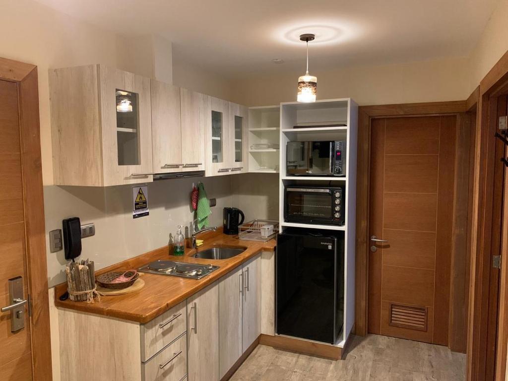 Kuchyň nebo kuchyňský kout v ubytování Entre Cumbres Apart Hotel