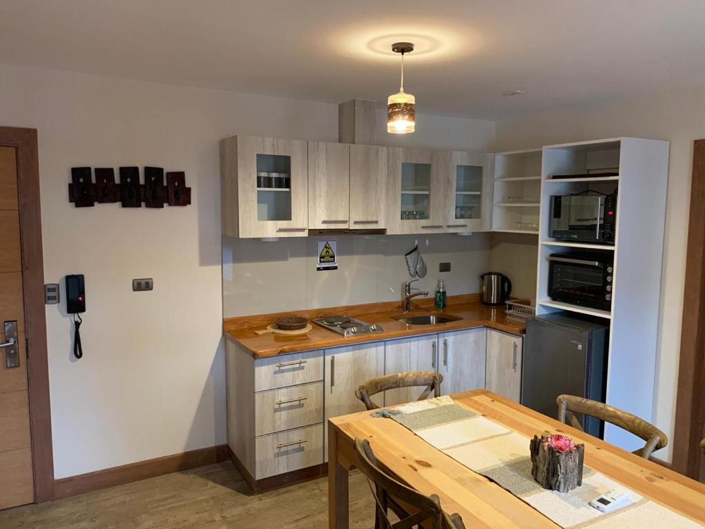 Kuchyň nebo kuchyňský kout v ubytování Entre Cumbres Apart Hotel