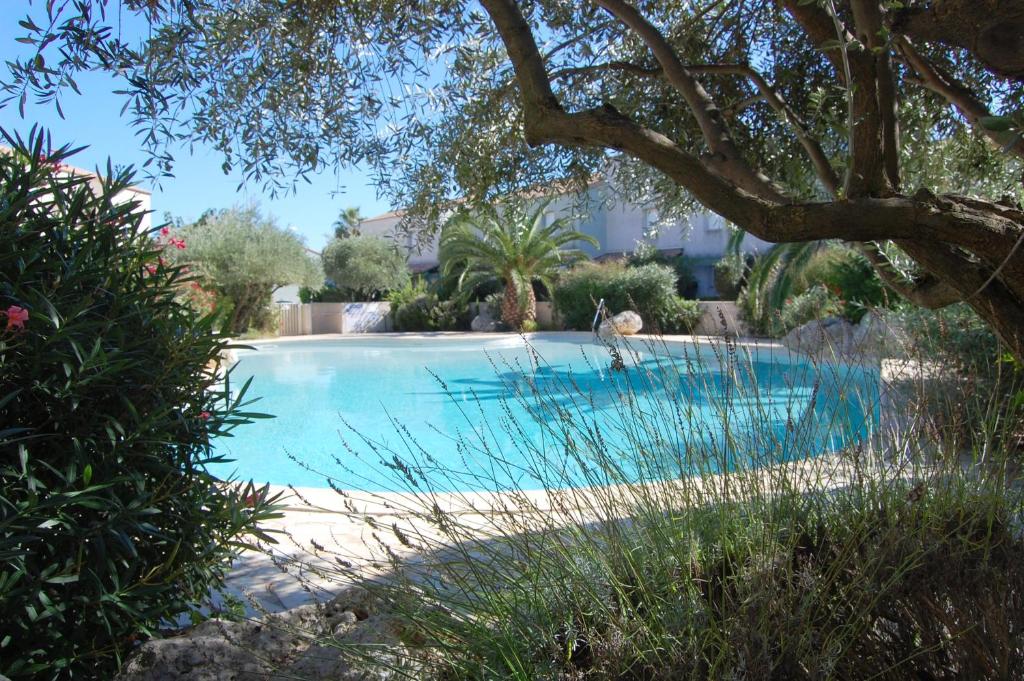 un cane seduto accanto alla piscina di Appartement de 2 chambres a Valras Plage a 600 m de la plage avec piscine partagee terrasse amenagee et wifi a Valras-Plage