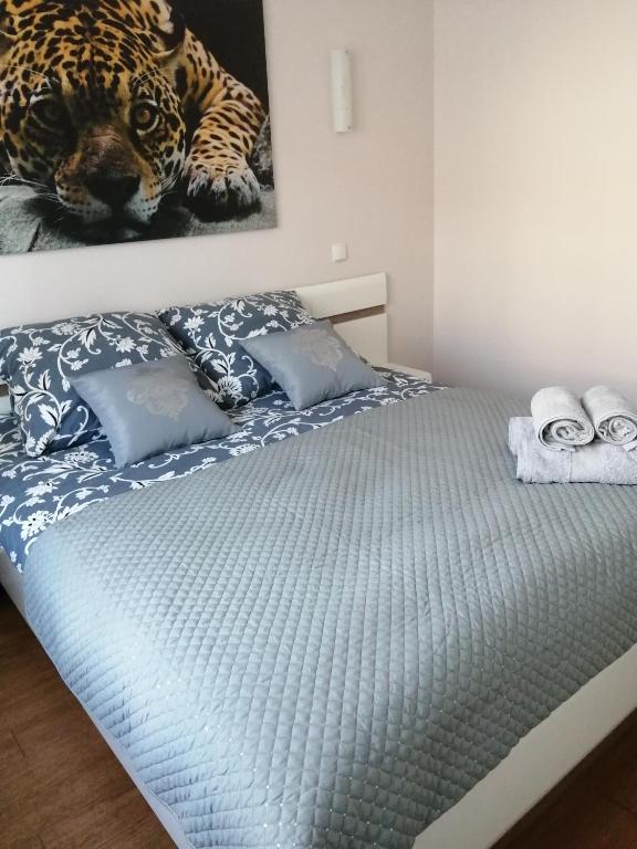 Fotografia z galérie ubytovania Apartament Słoneczny v destinácii Ełk