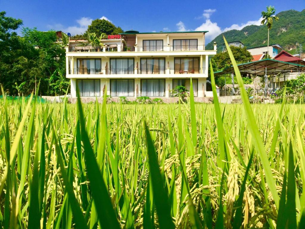 a house in the middle of a field of grass at Mai Chau Green Rice Field Hotel in Mai Châu