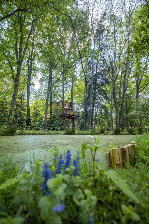 a garden with a house in the background with blue flowers at Le Monde de Charlie - Les Cabanes in Bellerive-sur-Allier